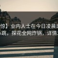 【震惊】业内人士在今日凌晨遭遇八卦心跳，探花全网炸锅，详情发现