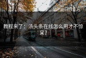 教程来了：汤头条在线怎么用才不惊呆？