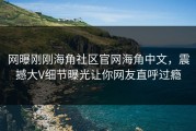 网曝刚刚海角社区官网海角中文，震撼大V细节曝光让你网友直呼过瘾