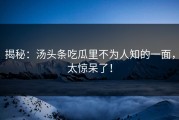 揭秘：汤头条吃瓜里不为人知的一面，太惊呆了！