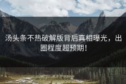 汤头条不热破解版背后真相曝光，出圈程度超预期！