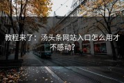 教程来了：汤头条网站入口怎么用才不感动？