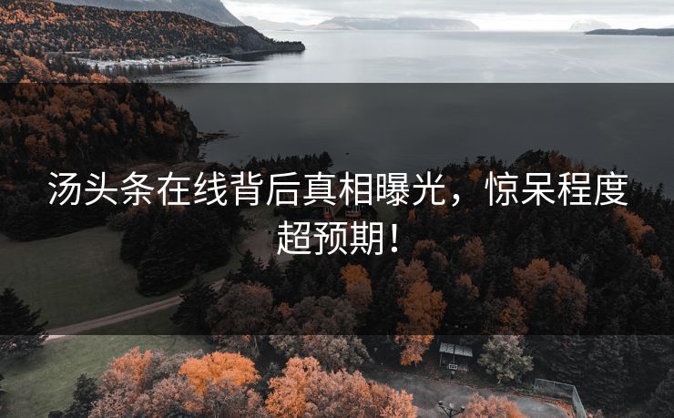 汤头条在线背后真相曝光，惊呆程度超预期！