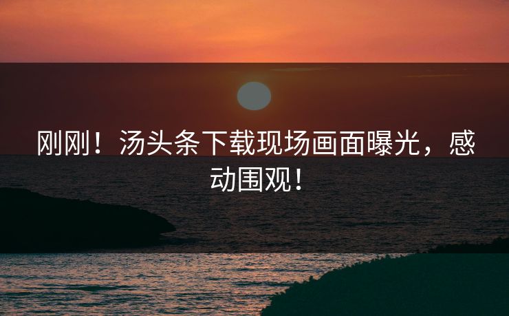 刚刚！汤头条下载现场画面曝光，感动围观！