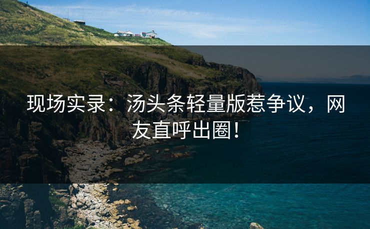 现场实录：汤头条轻量版惹争议，网友直呼出圈！