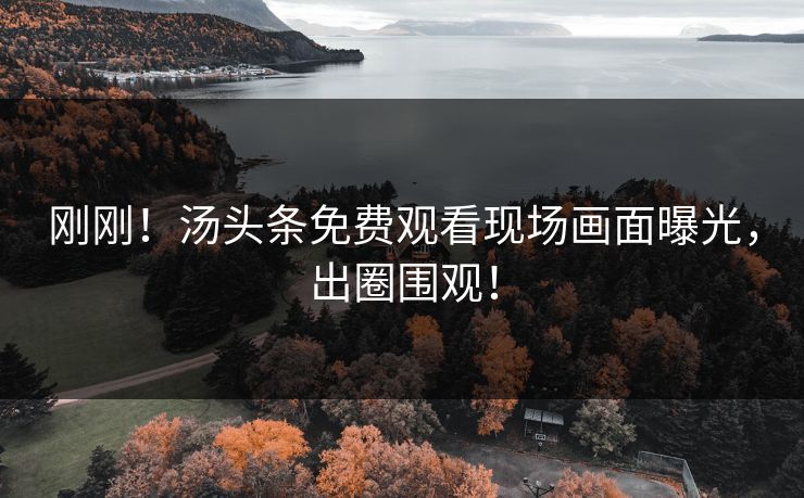 刚刚！汤头条免费观看现场画面曝光，出圈围观！
