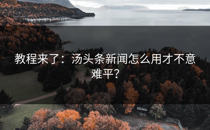 教程来了：汤头条新闻怎么用才不意难平？