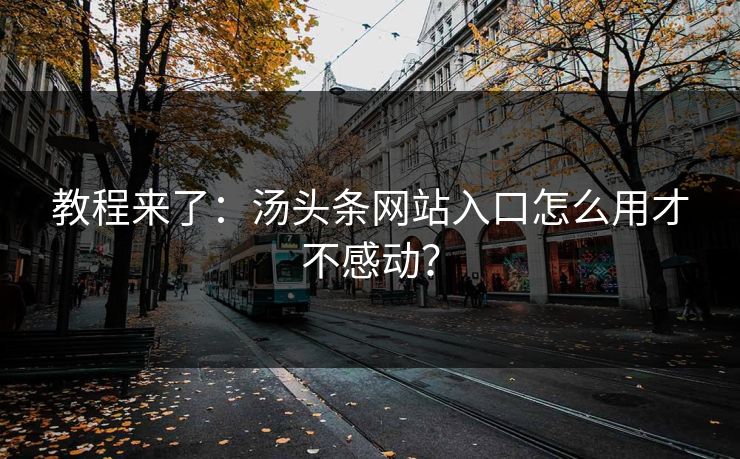 教程来了：汤头条网站入口怎么用才不感动？