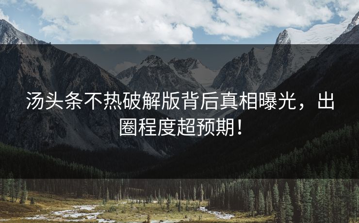 汤头条不热破解版背后真相曝光，出圈程度超预期！