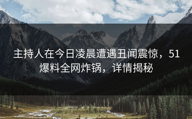 主持人在今日凌晨遭遇丑闻震惊，51爆料全网炸锅，详情揭秘